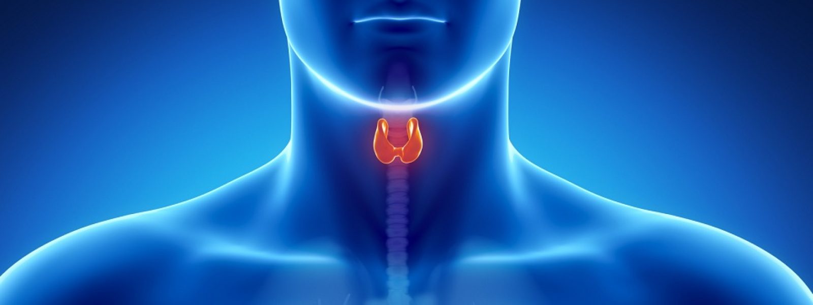 Υπερθυρεοειδισμός: Πλήρης Οδηγός Διατροφής και Αντιμετώπισης