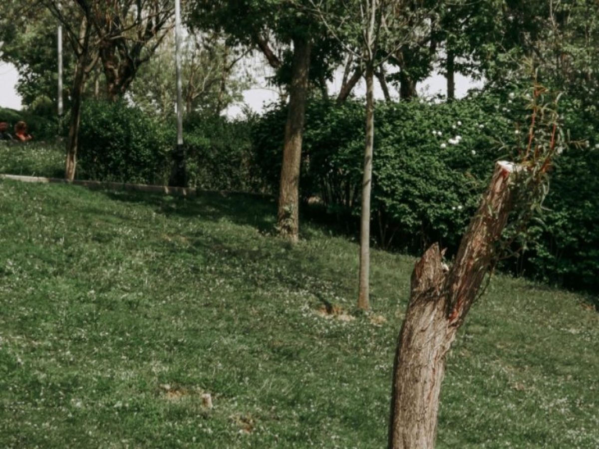 3 κοινωνικές αξίες με τις οποίες μεγάλωσαν οι Boomers, αλλά δεν σημαίνουν τίποτα για τους νέους σήμερα