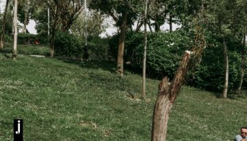 3 &kappa;&omicron;&iota;&nu;&omega;&nu;&iota;&kappa;έ&sigmaf; &alpha;&xi;ί&epsilon;&sigmaf; &mu;&epsilon; &tau;&iota;&sigmaf; &omicron;&pi;&omicron;ί&epsilon;&sigmaf; &mu;&epsilon;&gamma;ά&lambda;&omega;&sigma;&alpha;&nu; &omicron;&iota; Boomers, &alpha;&lambda;&lambda;ά &delta;&epsilon;&nu; &sigma;&eta;&mu;&alpha;ί&nu;&omicron;&upsilon;&nu; &tau;ί&pi;&omicron;&tau;&alpha; &gamma;&iota;&alpha; &tau;&omicron;&upsilon;&sigmaf; &nu;έ&omicron;&upsilon;&sigmaf; &sigma;ή&mu;&epsilon;&rho;&alpha;